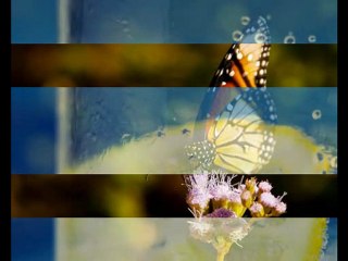 Υπερκινητικός Δάσκαλος~Εκπληκτική φύση