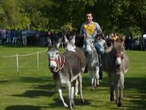 La course aux ânes