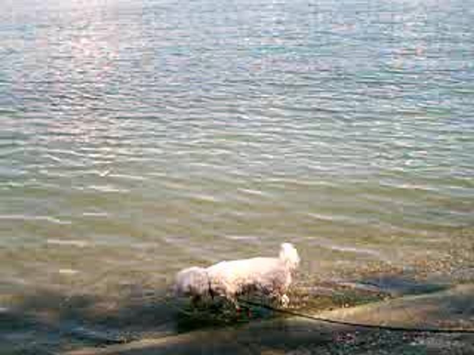 25.07.05 au bord du Rhin
