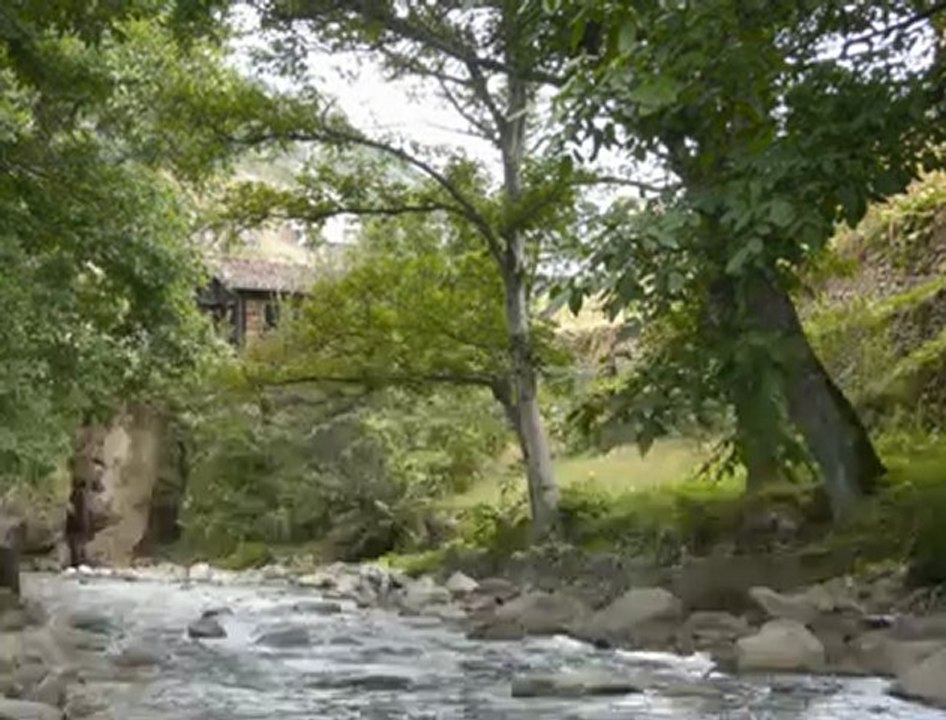 Türk  - Yunan Ortak Paydası - "Müzik" (Mustafa Dinç)