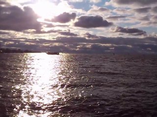 View on Finland Gulf from Petrovsky Island in St. Petersburg