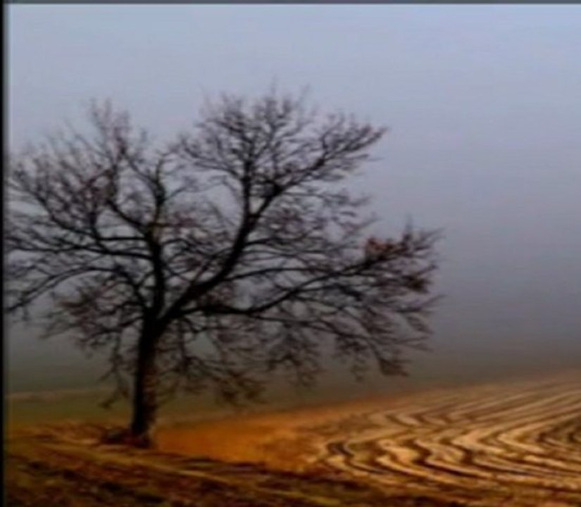 ilahi.Abdurrahman Önül. Al beni yanina