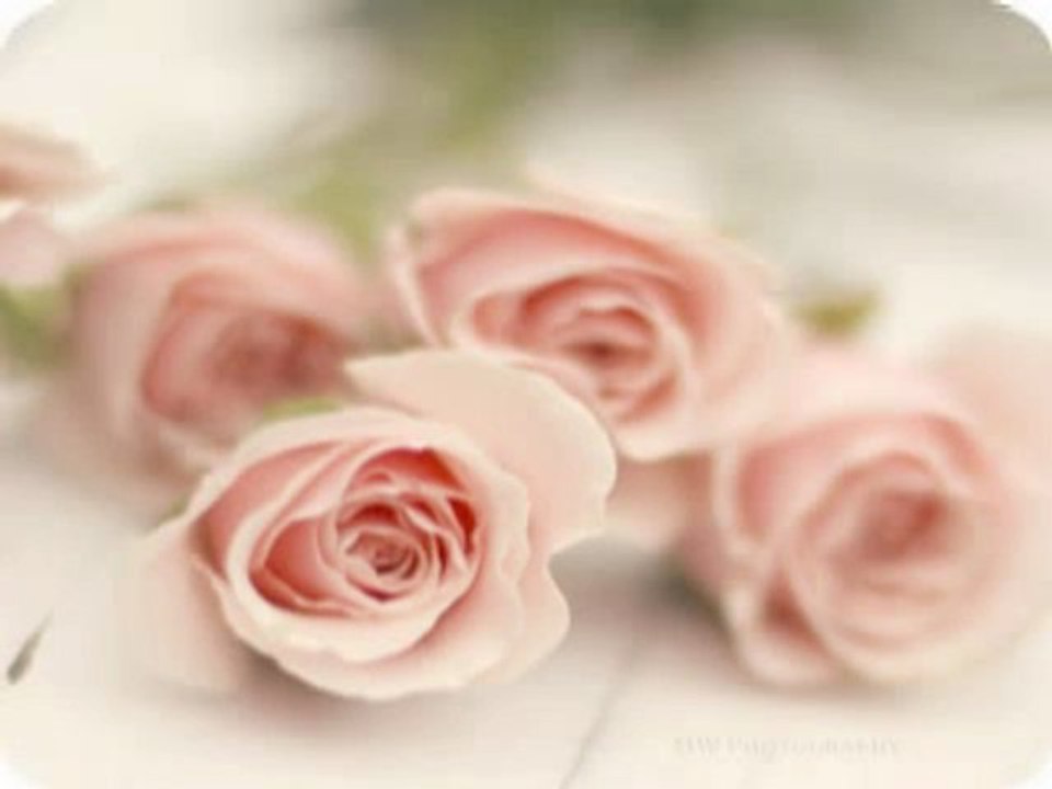 Gönül Nur-i Cemalinden-M.Emin AY