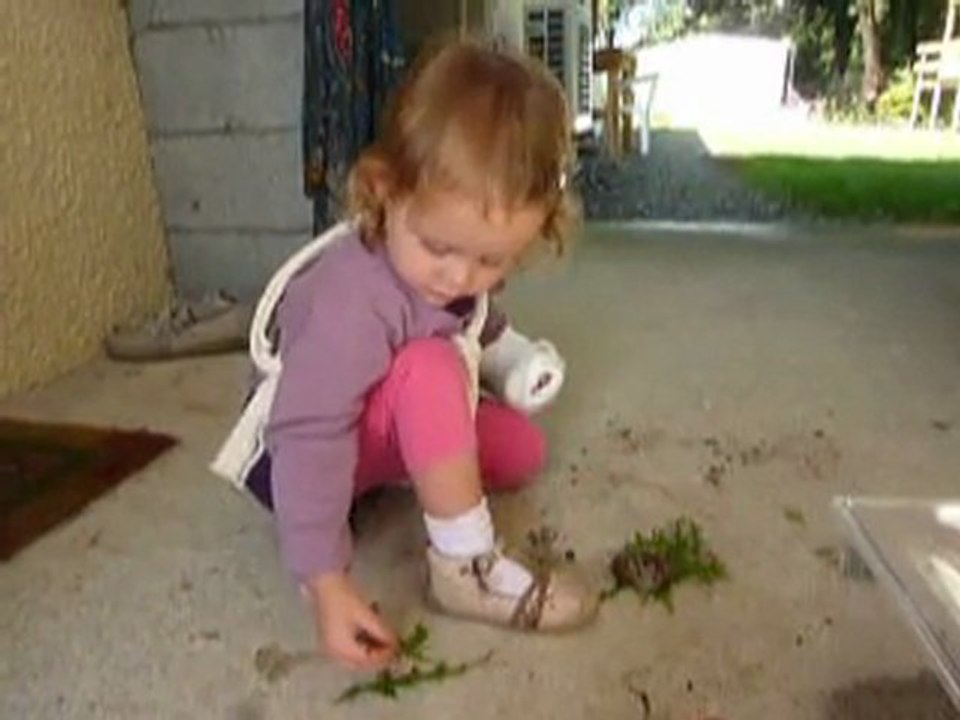 Escargot