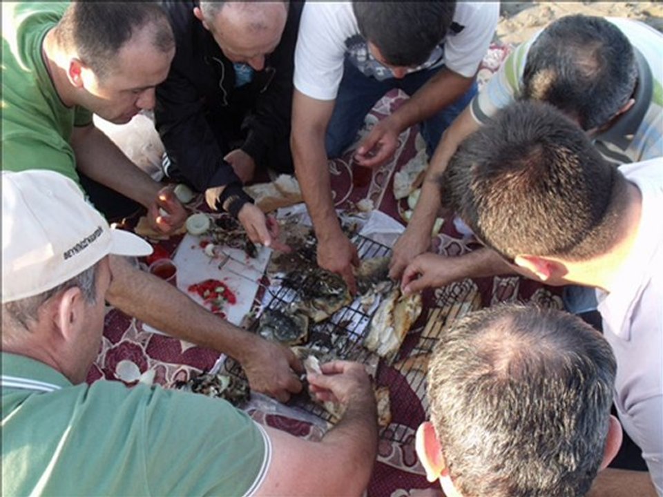 Koşu Köyü - Piknik