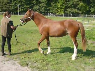 Vodka de May Sept 2011 2