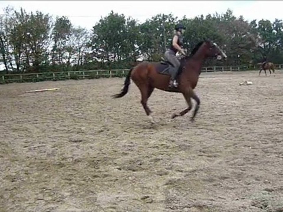 séance du 20 Septembre 2011