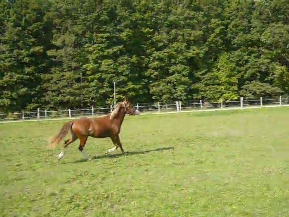 Vodka de May Sept 2011 3