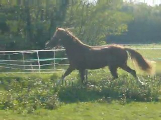 Vodka de May Sept 2011 4