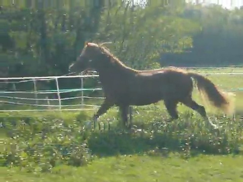 Vodka de May Sept 2011 4