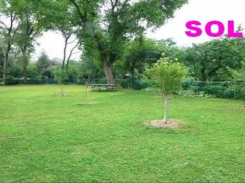 North York Real Estate - Northwood Dr