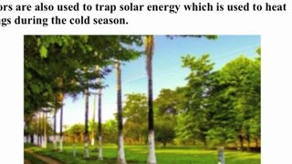 4 Ways in Which Solar Energy Can Help Us