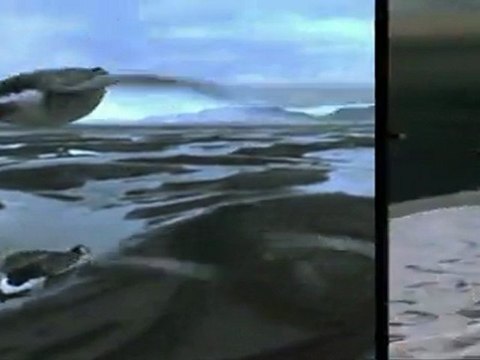 Flavie Flament La Musique du Ciel Paradis Ledoux Télé SPI