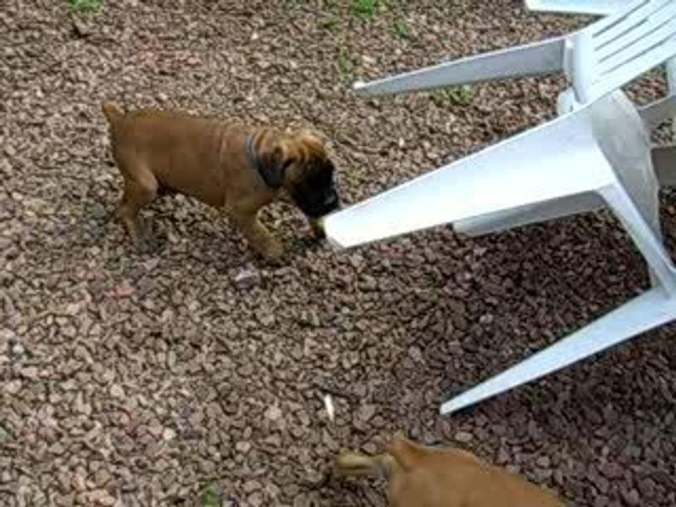 bulle dans ses oeuvres