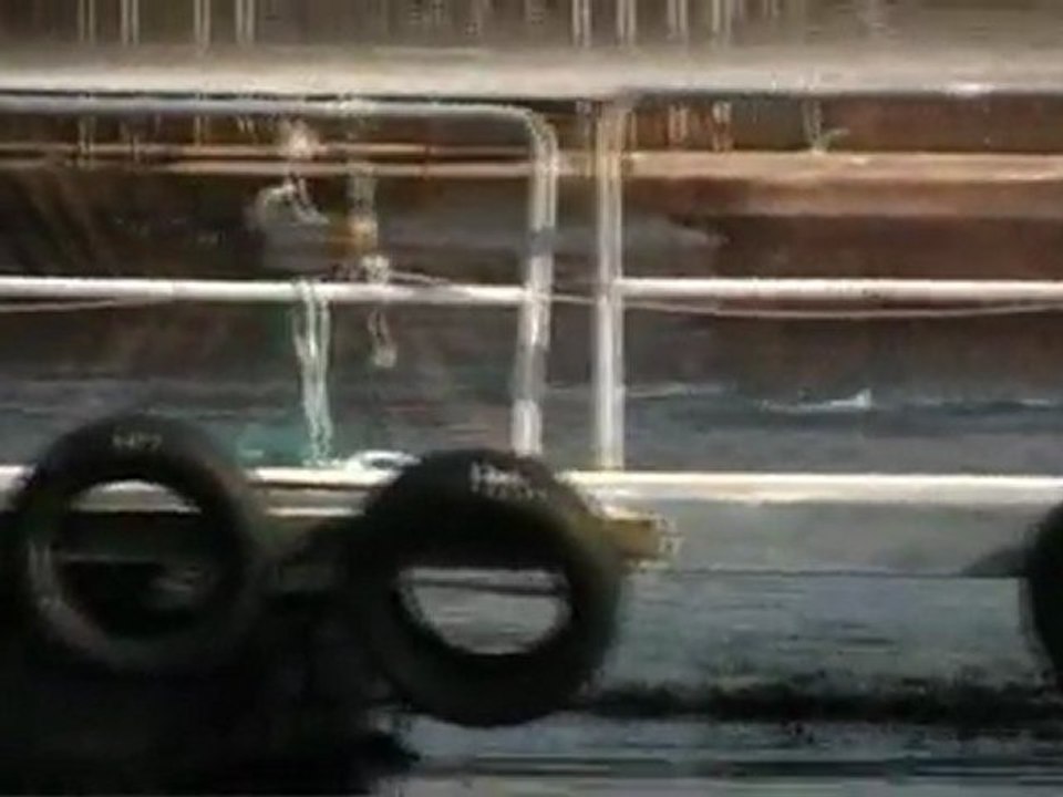 Ces animaux que tu manges