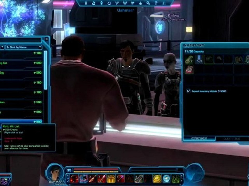 Star Wars: The Old Republic  (PC)