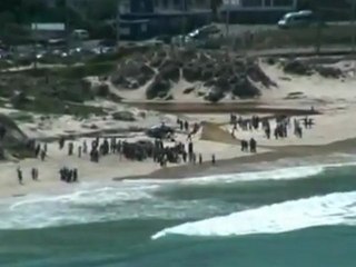 Shark mauls British man in South Africa