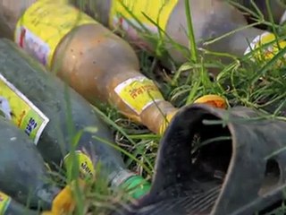 Cap Gemini et MicroWorld s'associent pour lutter contre la pauvreté