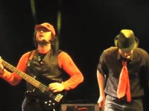 Renards Chauves - Une fois par jour - Bourges