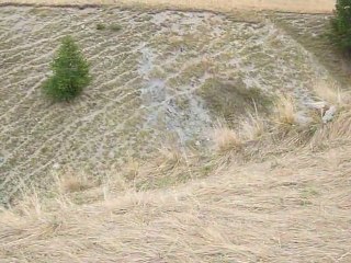 Parpaillon 2011 P1070664