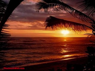 gipsy spirit mis amigos