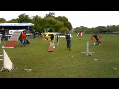 Claude et Eliot agility st pol