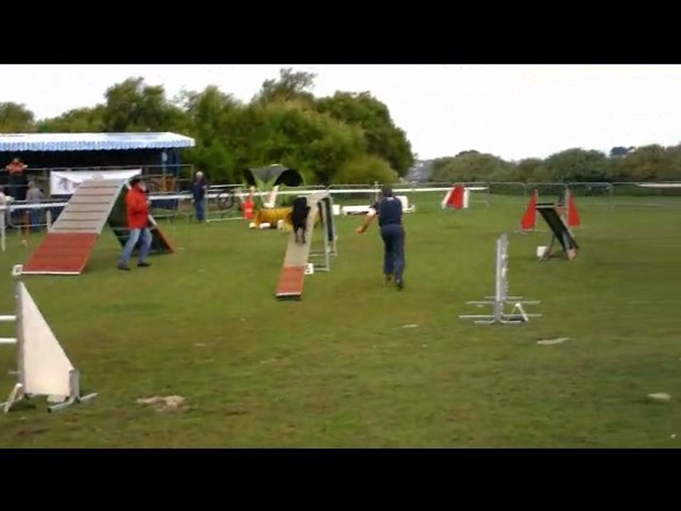 Claude et Eliot agility st pol