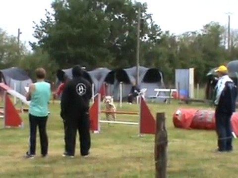 Chanel 3ème degré St Amand 11