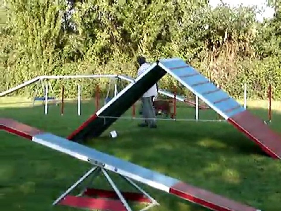 concours Agility Vigneux