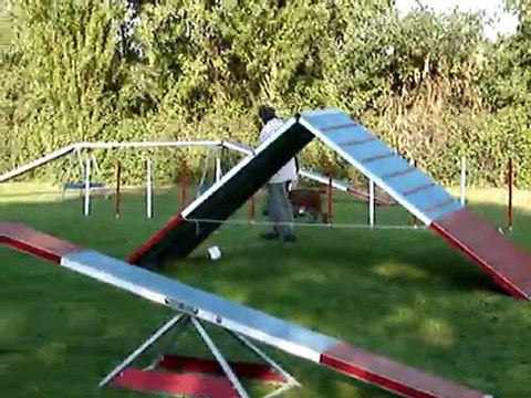 concours Agility Vigneux