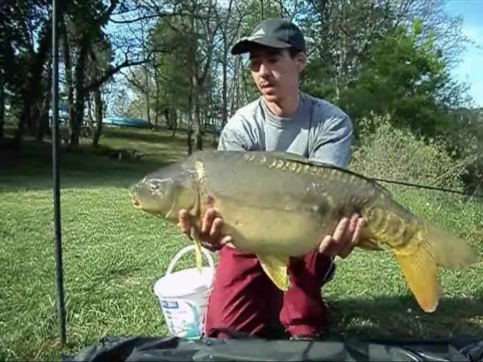 session carpe en journee