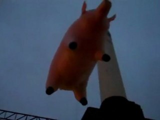 The pig's ascent at Battersea Power Station