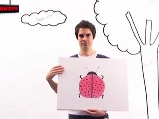 Álvaro Carmona y... los animales - La mariquita