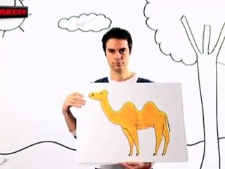 Álvaro Carmona y... los animales - El Camello