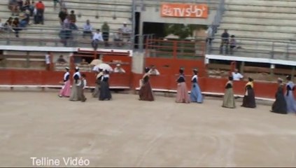 Vauvert 26ème concours d'abrivado