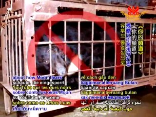 Animals and Their Caregivers: Stories of Friendship