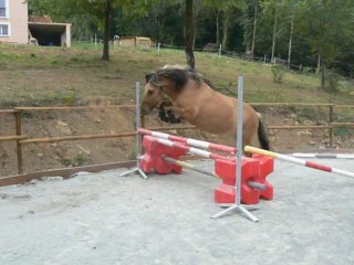 OPALE ET RATATOUILLE SAUT EN LIBERTE 17.09.11.