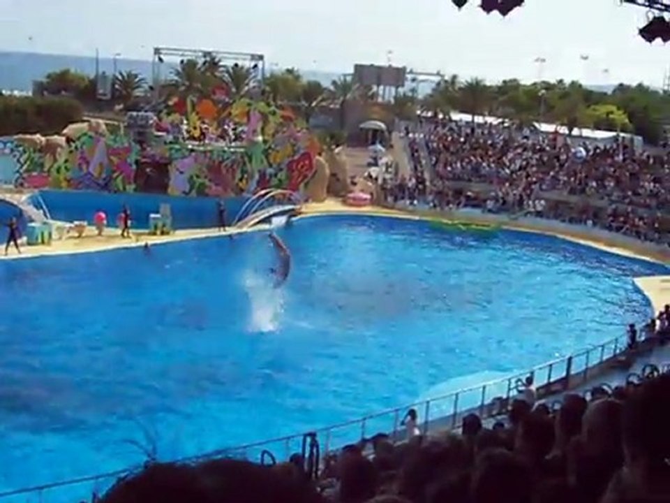 Marineland_25_09_2011 138
