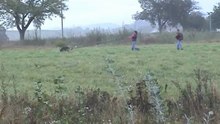 Cheytan 25.09.11