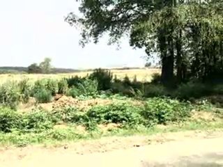 HAZER EMLAK TEL: 0546 851 6657 KOCAELİ SATILIK ARAZİ