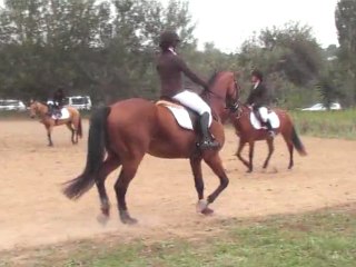 axion dressage 3