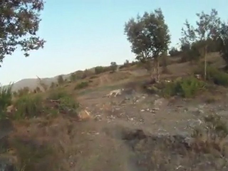 ETA 1 / centre canin de la foret du melu