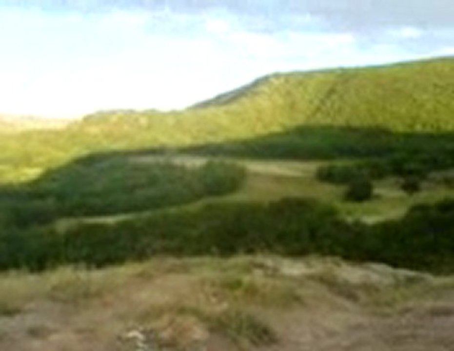 nasır köyü ormandan fındıklıdan seyir
