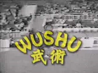 Martial Arts - Capoeira Floor