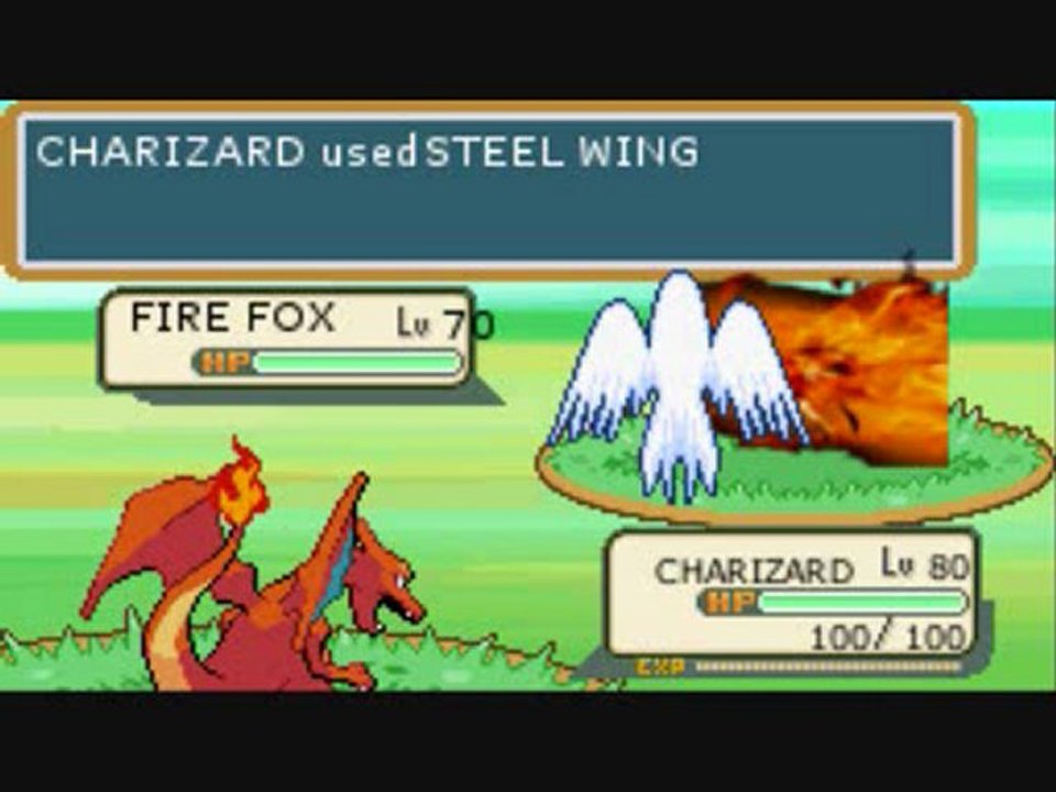 A wild FIREFOX was appeared