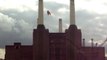 Battersea power station and the pig
