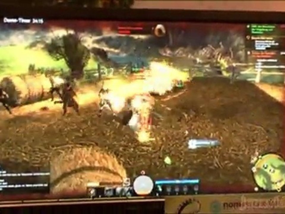 Reportage Guild Wars 2