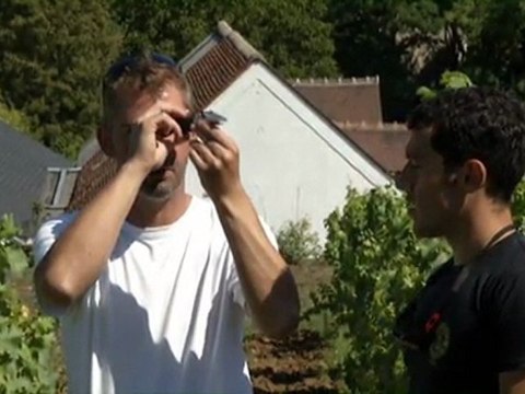 Top Tourisme et terroir - Le Clos Roussely, à Angé