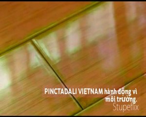 PINCTADALI - Save our planet