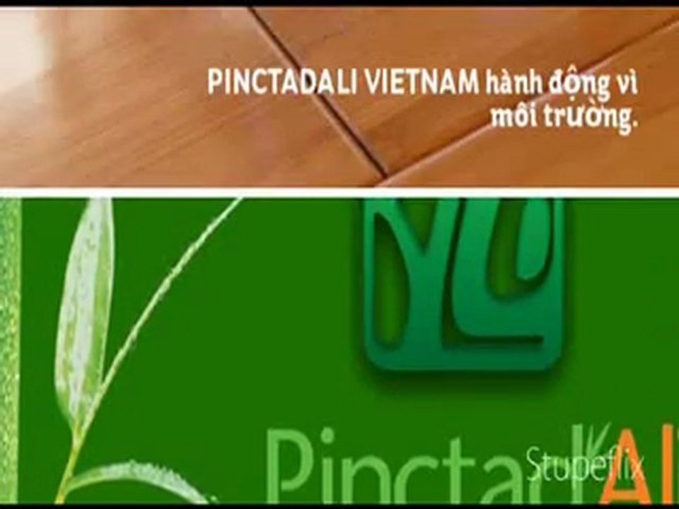 PINCTADALI - Save Earth_ Save Life